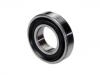  Wheel Bearing:MB290427